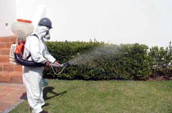 servicios fumigacion lima peru multiservices pic